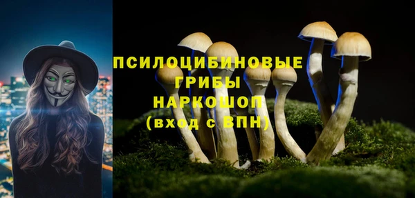 2c-b Алзамай