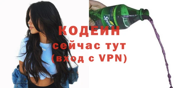 дурь Арсеньев