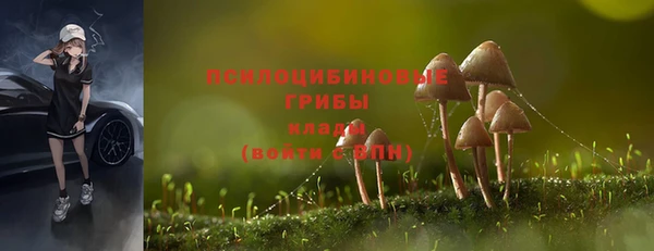 герыч Аркадак