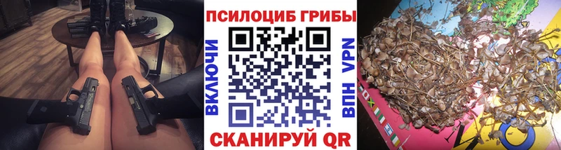 Галлюциногенные грибы мицелий  Пушкино 